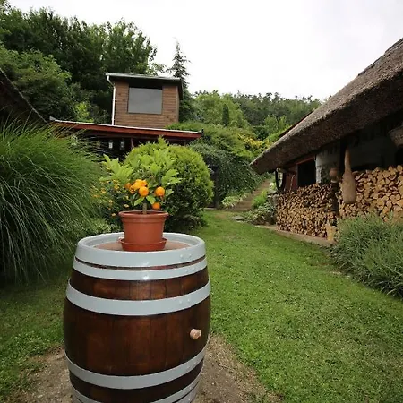 Nadas Vendeghaz Es Wellness - Nemesvita