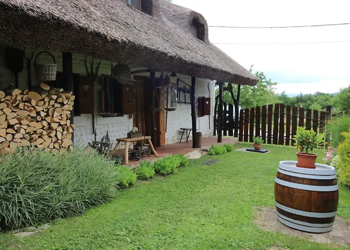 Nadas Vendeghaz Es Wellness - Nemesvita