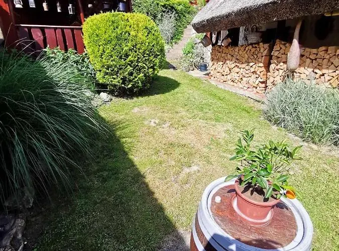 Nadas Vendeghaz Es Wellness - بيت ضيافة Nemesvita