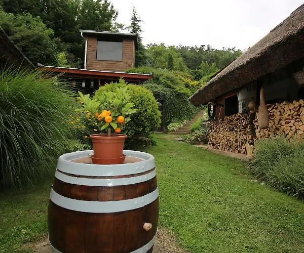 Nadas Vendeghaz Es Wellness - Nemesvita